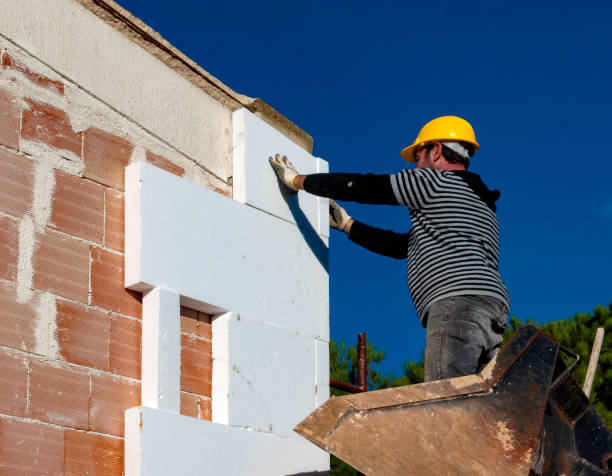 Best Geographic-Specific Insulation Services in Ormond Beach, FL
