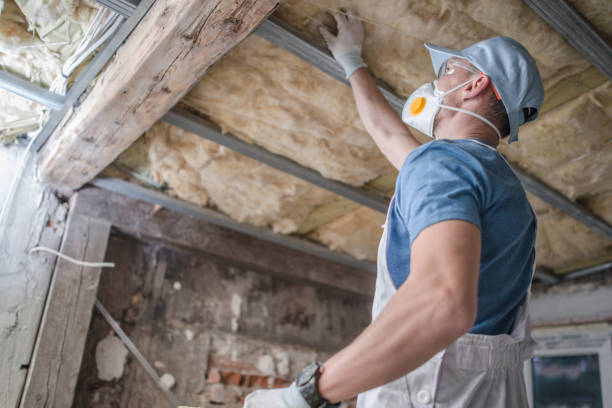 Professional Insulation Contractor in Ormond Beach, FL