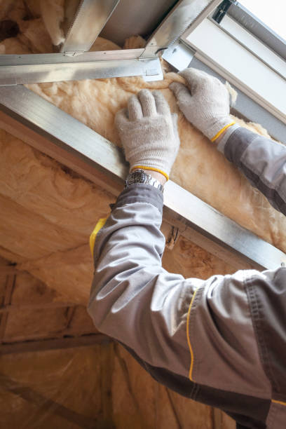 Best Specialized Insulation Services in Ormond Beach, FL