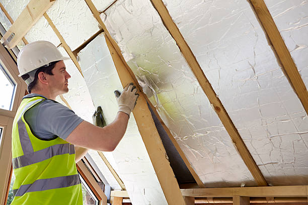 Best Cellulose Insulation in Ormond Beach, FL
